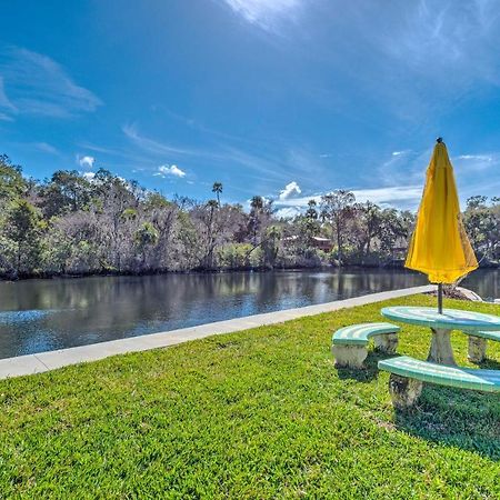 Withlacoochee River House With Dock And Kayaks! Yankeetown Εξωτερικό φωτογραφία