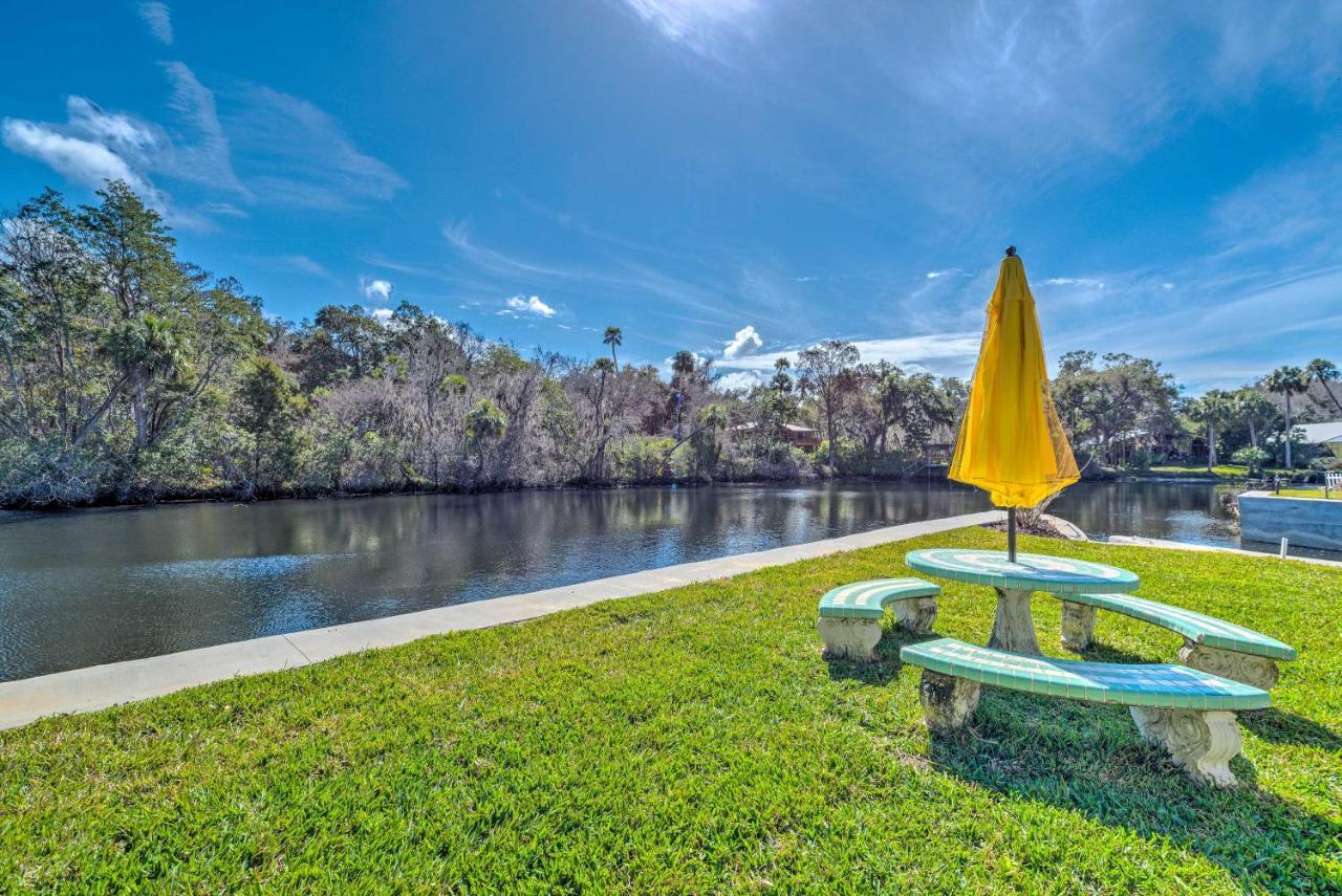 Withlacoochee River House With Dock And Kayaks! Βίλα Yankeetown Εξωτερικό φωτογραφία